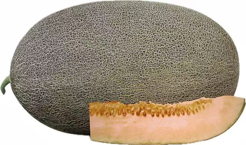 Hadau melon gwych